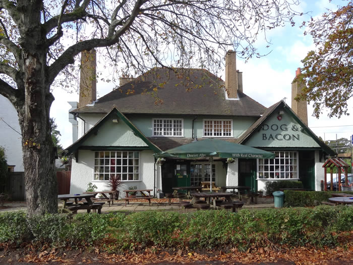 Dog and Bacon pub, Horsham, West Sussex Horsham Pub Guide
