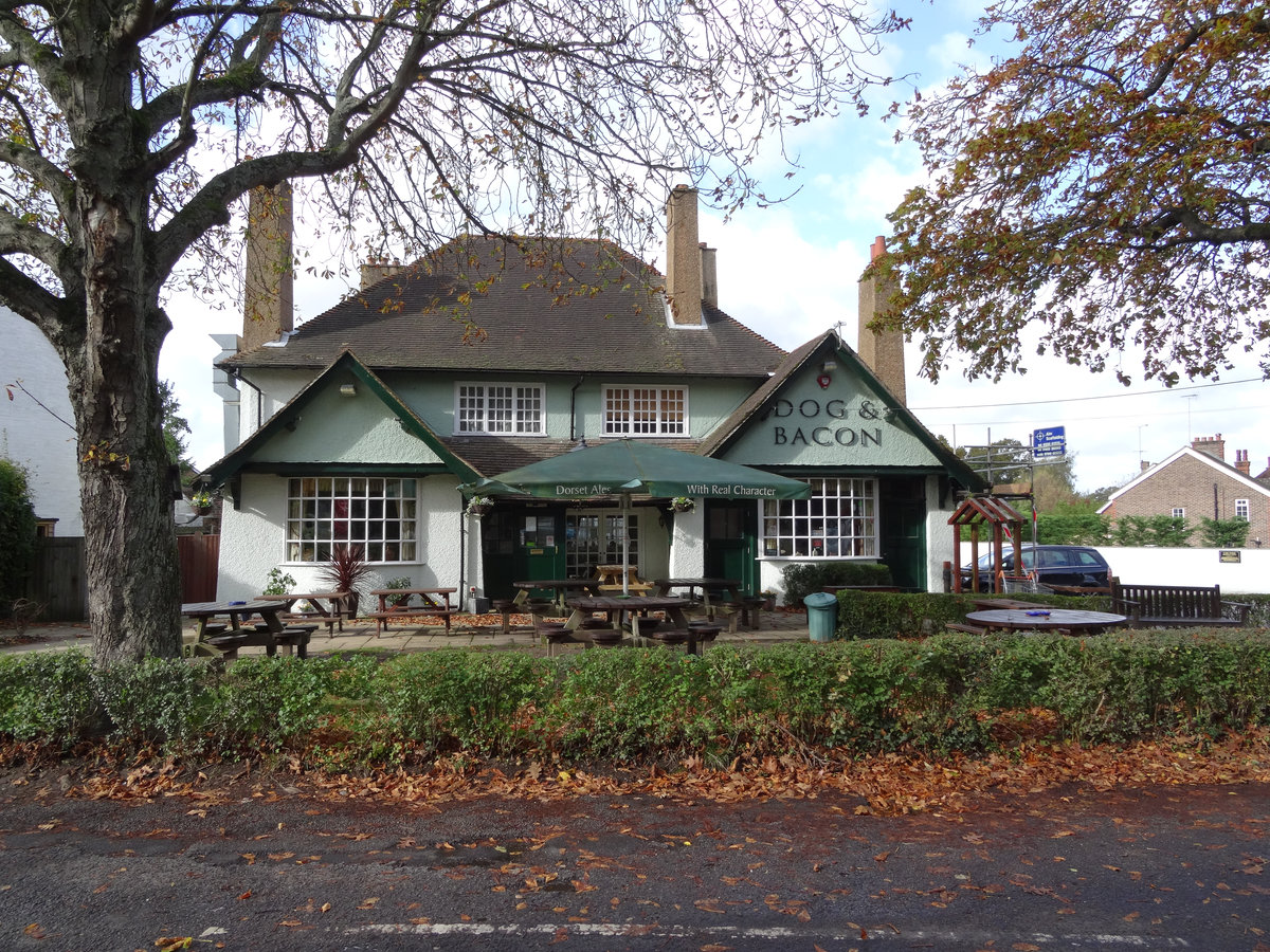 Dog and Bacon pub, Horsham, West Sussex Horsham Pub Guide